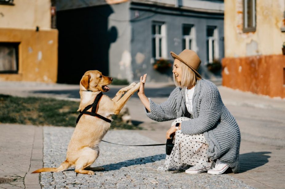 Kobieta z psem. Mam w życiu szczęście